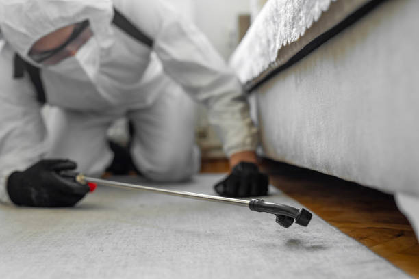 Professional Bed Bug Control technician working in Morehouse Parish County, LA